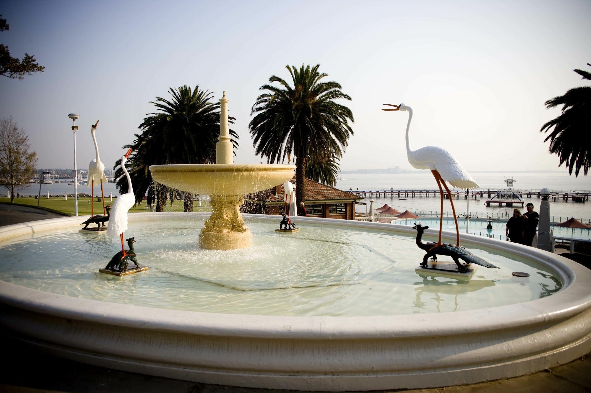 Rydges Geelong Hotel Exterior foto